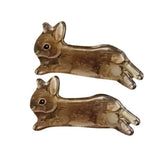 Cottagecore Bunny Hair Clip 2pcs Set