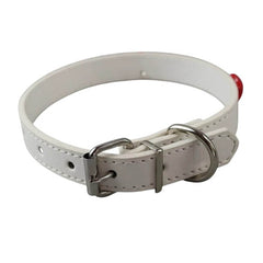 Red Apple Core Choker